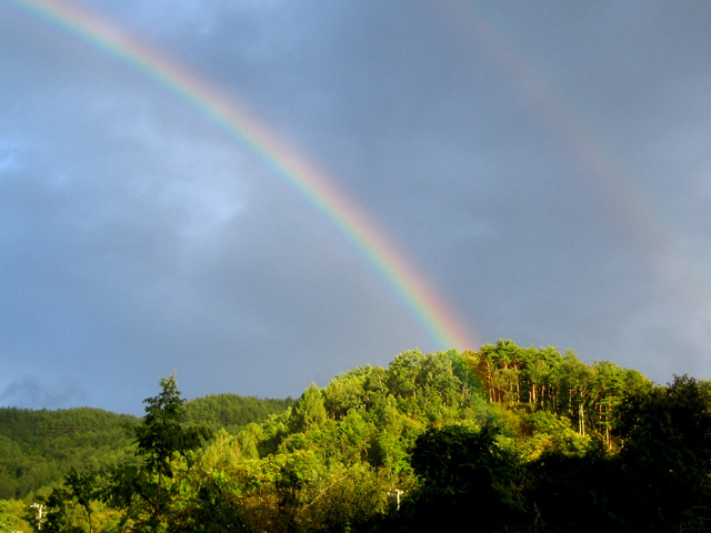 IMG_1409web.jpg